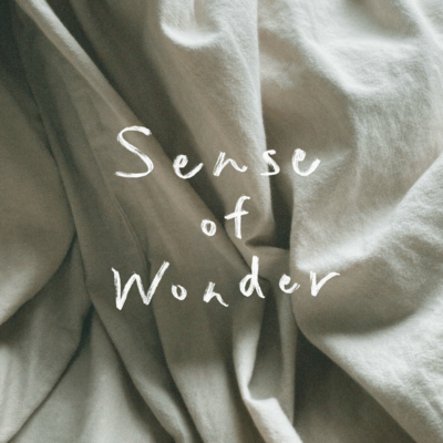 Sense of wonder Front Cover