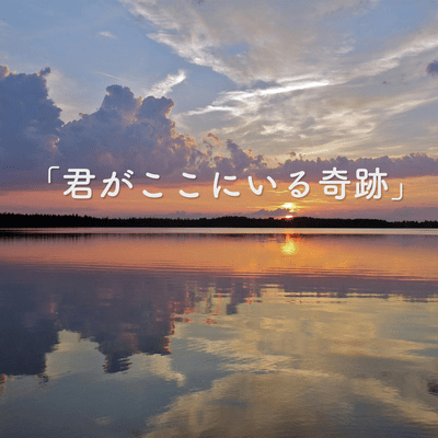 君がここにいる奇跡のジャケット写真