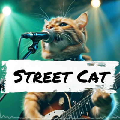 STREET CAT Front Cover