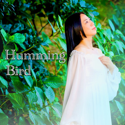 Humming Bird Front Cover