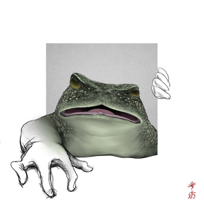 Toad Front Cover