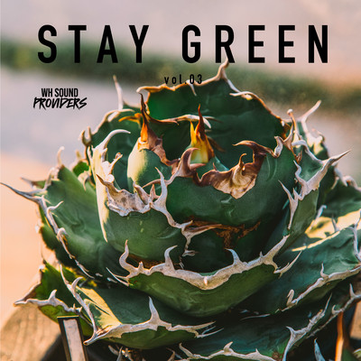 STAY GREEN vol.3 Front Cover