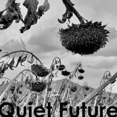 Quiet Future Front Cover