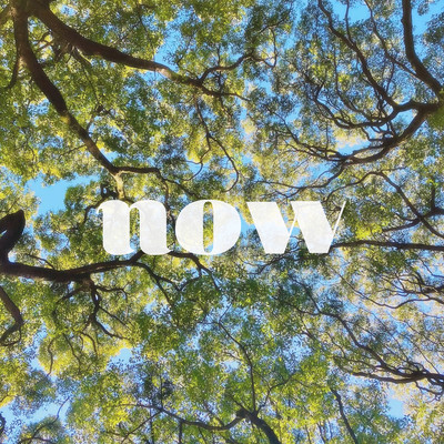 NOWのジャケット写真