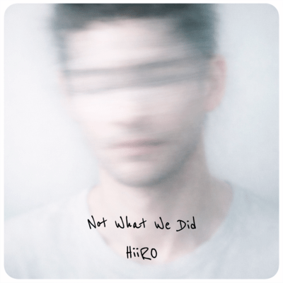 Not What We Did Front Cover