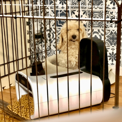 You Are Lovedのジャケット写真