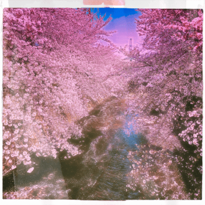 今度双子が産まれますのジャケット写真