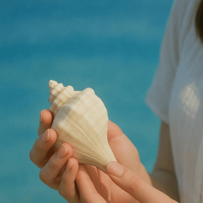 海の香り、君の香りのジャケット写真