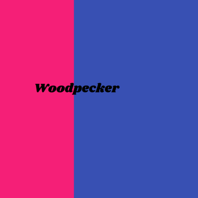 Woodpecker Front Cover