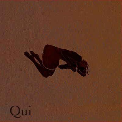 Qui 2のジャケット写真