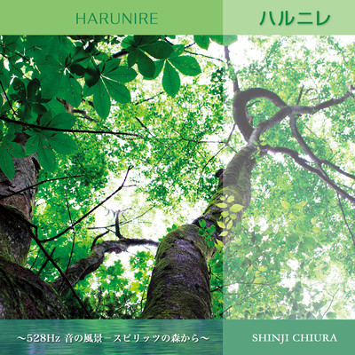 HARUNIRE - Soundscape from the Spirit Forest- Front Cover