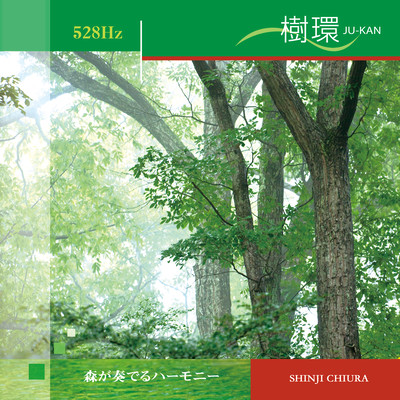 JU -KAN - 528Hz Harmony played by the Forest - Front Cover