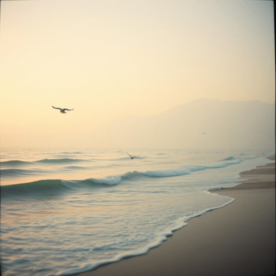 Healing Classical Music: Sacred Light Front Cover