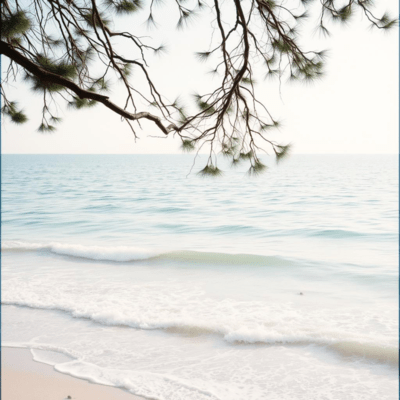 Healing Classical Music: Sacred Sound Front Cover