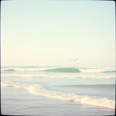 Classical Music for Relax & Healing: Dawn Front Cover