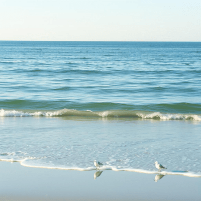 Serenity in Classical Music: Whispering Wind Front Cover