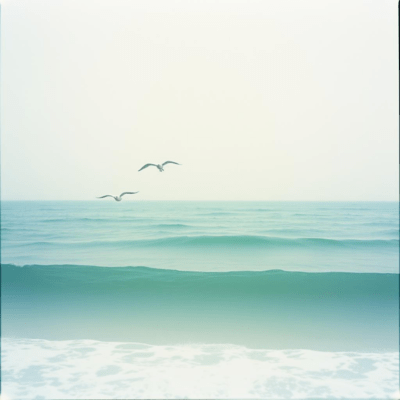 Classical Music for Relax & Healing: Spring Blossoms Front Cover