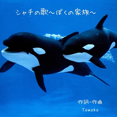 シャチの歌〜ぼくの家族〜のジャケット写真