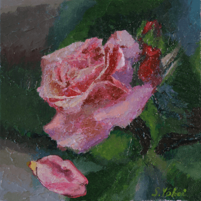 scarlet flower Front Cover