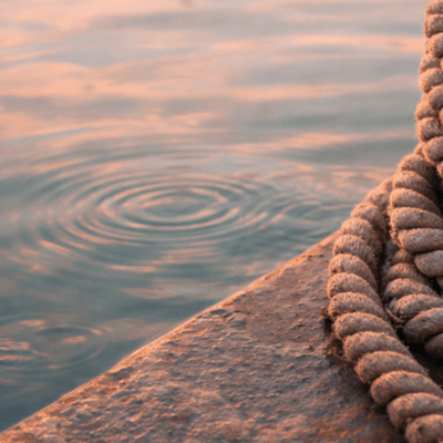 Bronze Silhouette Reprieve Front Cover