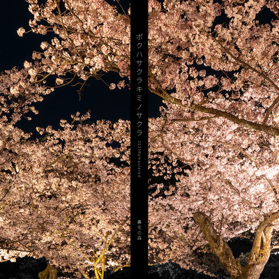 BOKUHA SAKURA KIMINO SAKURA (2025 Remastered) Front Cover