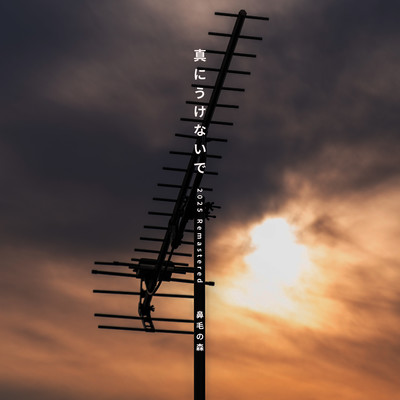 真にうけないで (2025 Remastered)のジャケット写真