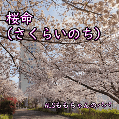 Sakura no Inochi Front Cover