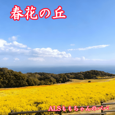 Spring Flower Hill Front Cover