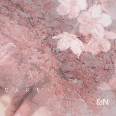 SAKUR@ Front Cover