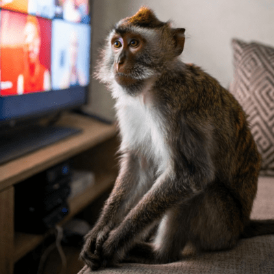 I'm just watching TV Front Cover
