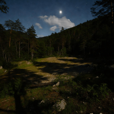 Moonlight Shadow Front Cover