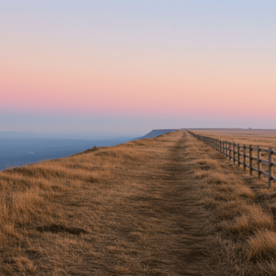 Under the same sky Front Cover