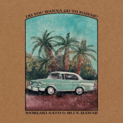 DO YOU WANNA GO TO HAWAII? Front Cover