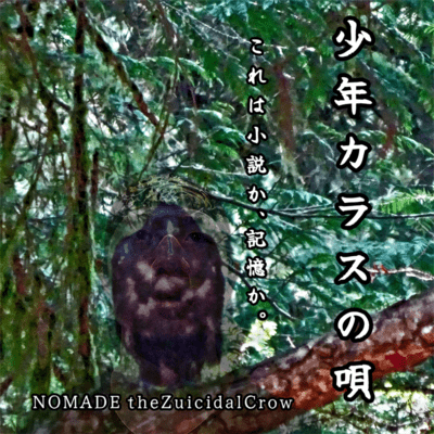 the Song of the Boy-Crow Front Cover