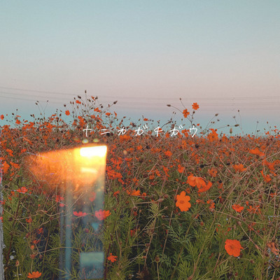 nanikagatigau Front Cover