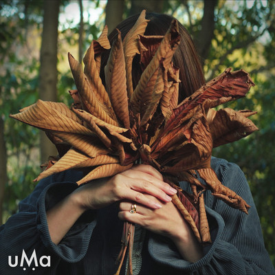 Envelopeのジャケット写真