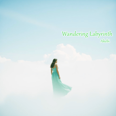 Wandering Labyrinth Front Cover