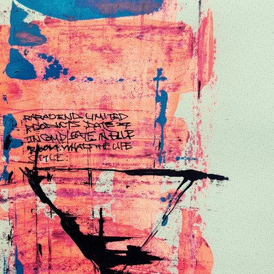 Rhythm in the Dust Front Cover