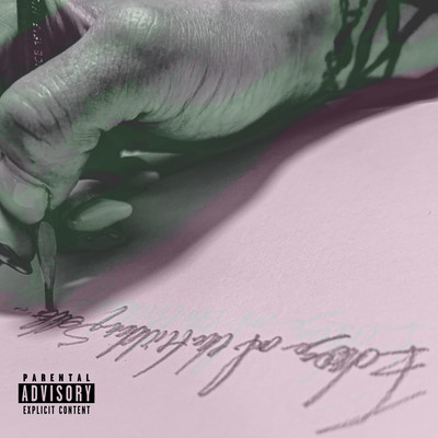 Echoes of the Hidden Self Front Cover