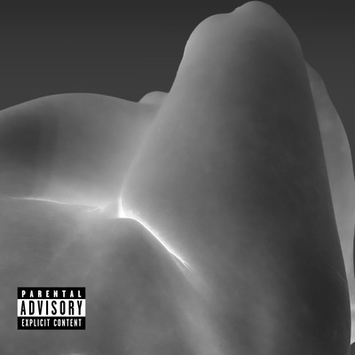 Flesh and Halo Front Cover