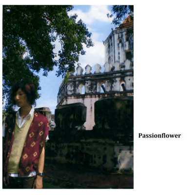 Passionflower Front Cover