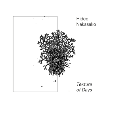 Texture of Days Front Cover