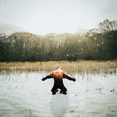 Frozenheart Front Cover