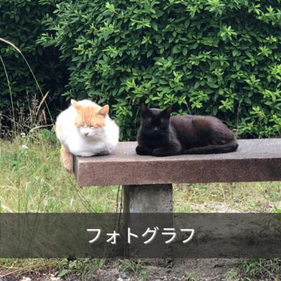 Photograph (feat. tamaki) Front Cover