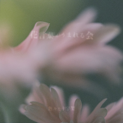 花言葉がうまれる会のジャケット写真