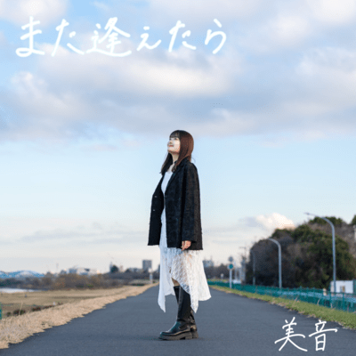 If We Meet Again Front Cover