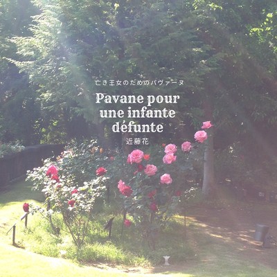 Pavane pour une infante défunte Front Cover