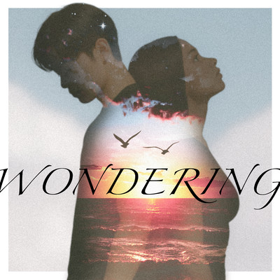 Wondering Front Cover