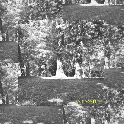 ADOREのジャケット写真