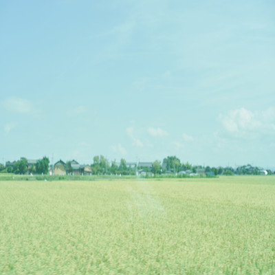 Euphoria Front Cover